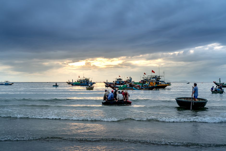 Chèo thuyền thúng tại Rừng Dừa Bảy Mẫu