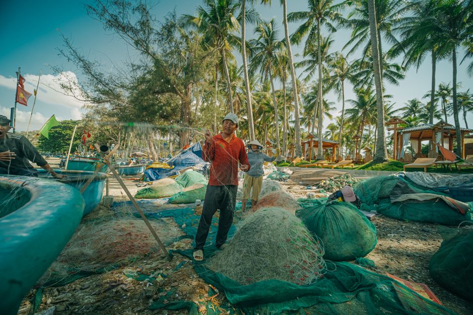 Rừng Dừa Bảy Mẫu